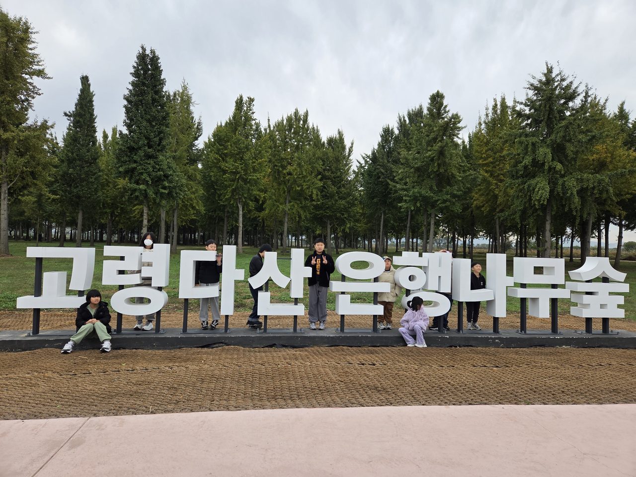 다산초 특수학급, 은행나무 숲 걷고 청소년 문화의 집 이용하며 ‘자립’ 연습