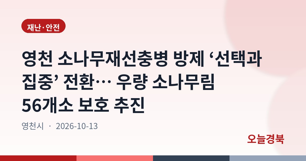 영천 소나무재선충병 방제 ‘선택과 집중’ 전환… 우량 소나무림 56개소 보호 추진
