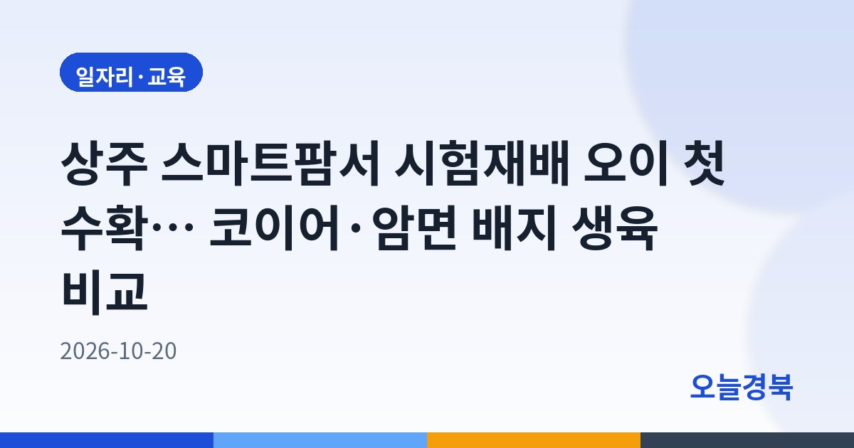 상주 스마트팜서 시험재배 오이 첫 수확… 코이어·암면 배지 생육 비교