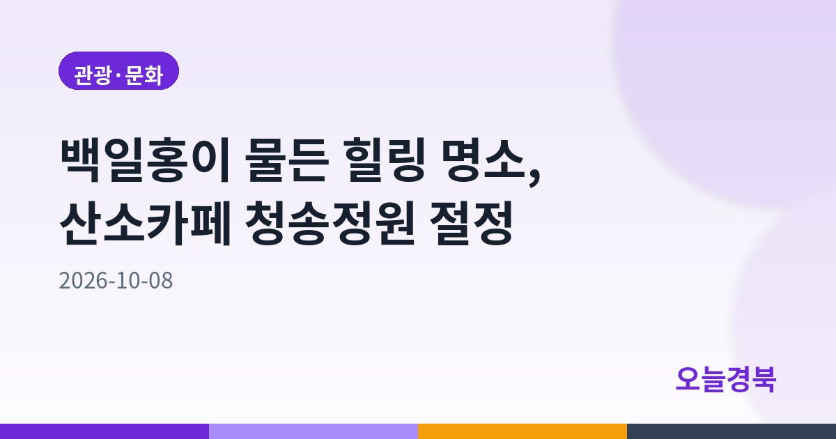 백일홍이 물든 힐링 명소, 산소카페 청송정원 절정