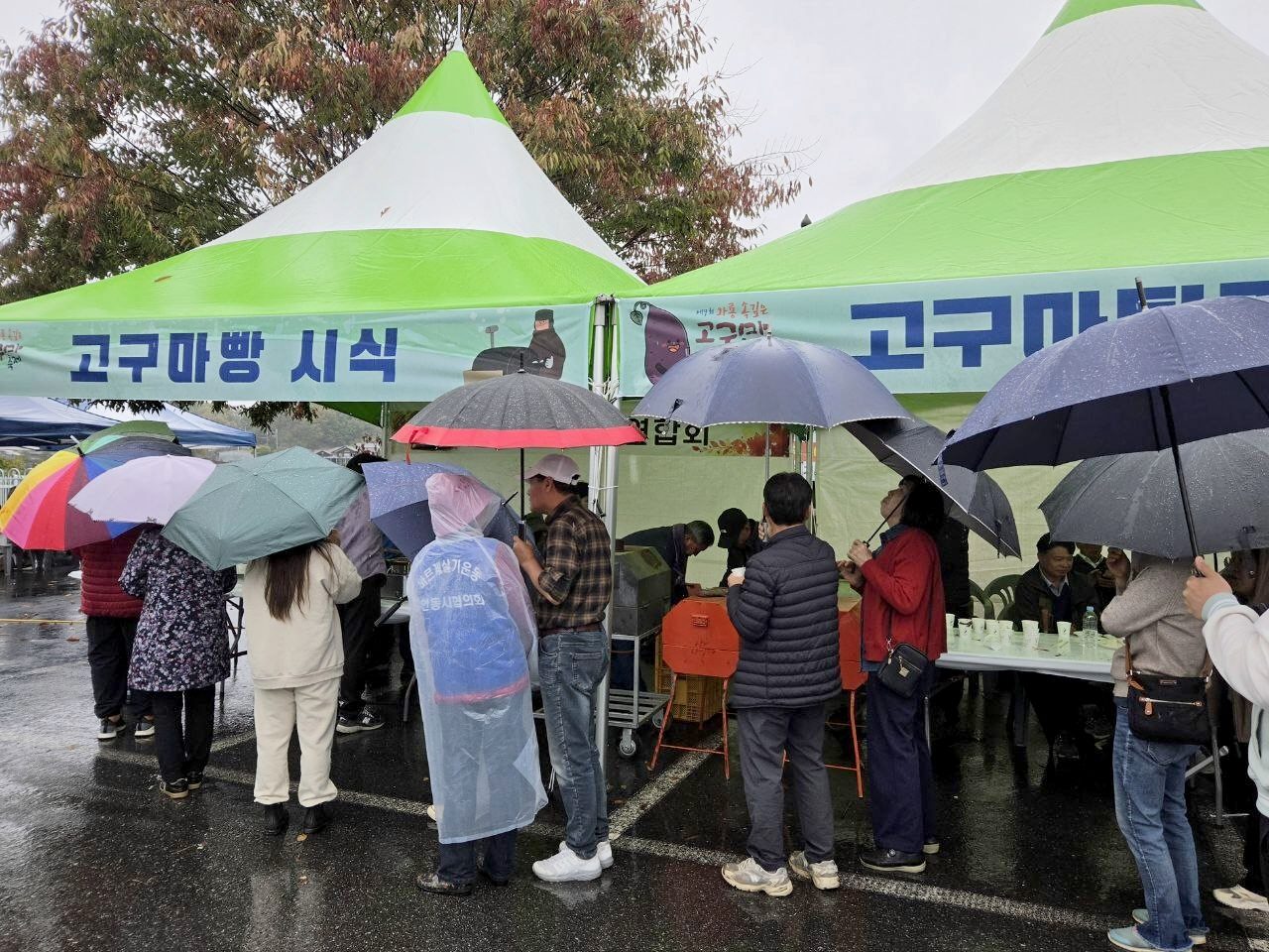 안동서 제4회 와룡 고구마축제 열려… 대구 수성구 주민자치위도 참석
