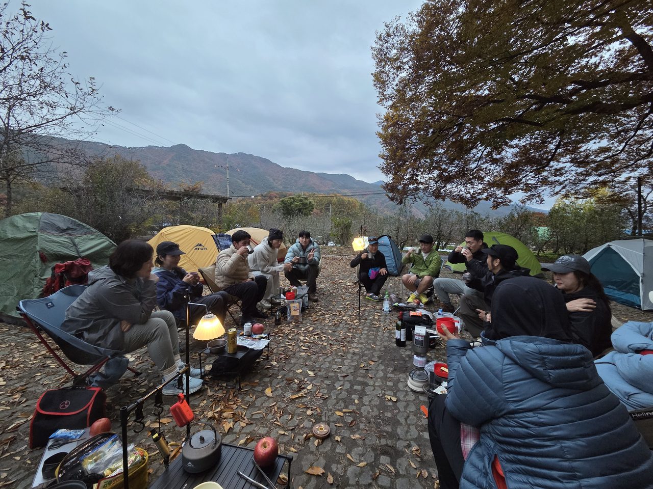 봉화 봉자 페스티벌부터 포항 산림박람회까지, 10월 경북 숲 행사 총정리