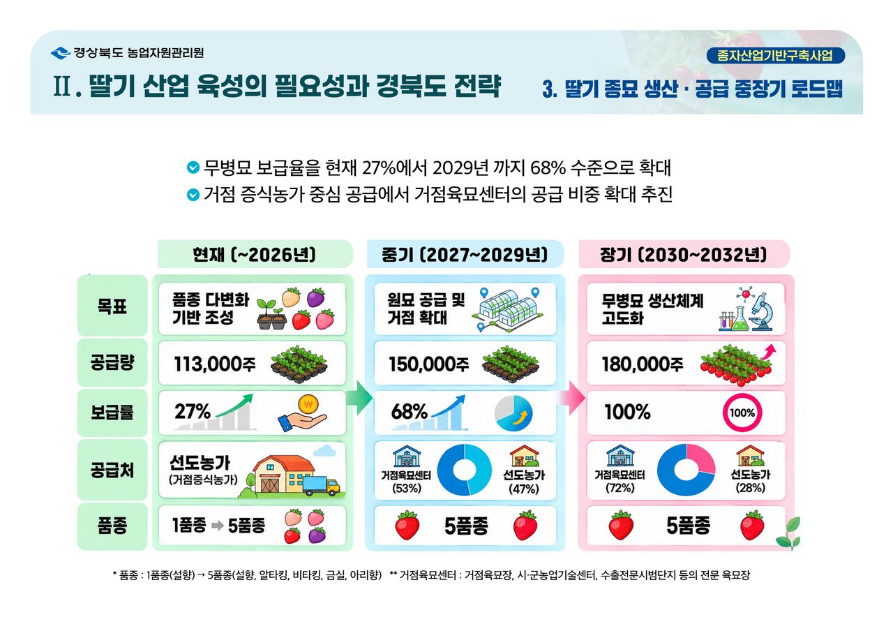 경북 딸기 무병묘 연 20만 주로 늘린다…영천포장 원묘 거점 확대에 14억 원