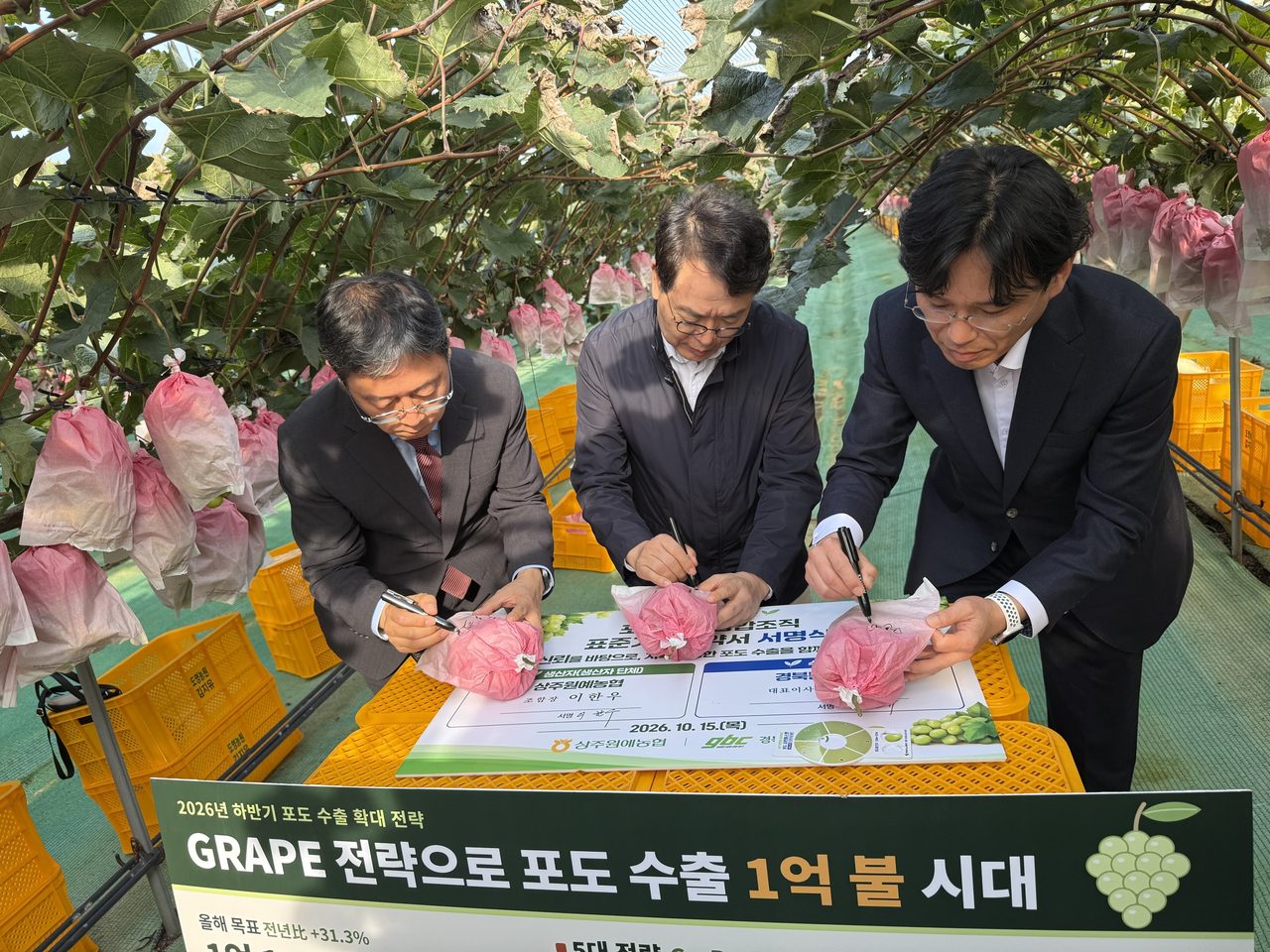 상주서 ‘포도 수출 1억 달러’ 결의…농식품부 5대 GRAPE 전략, 10~12월 주말 검역 지원