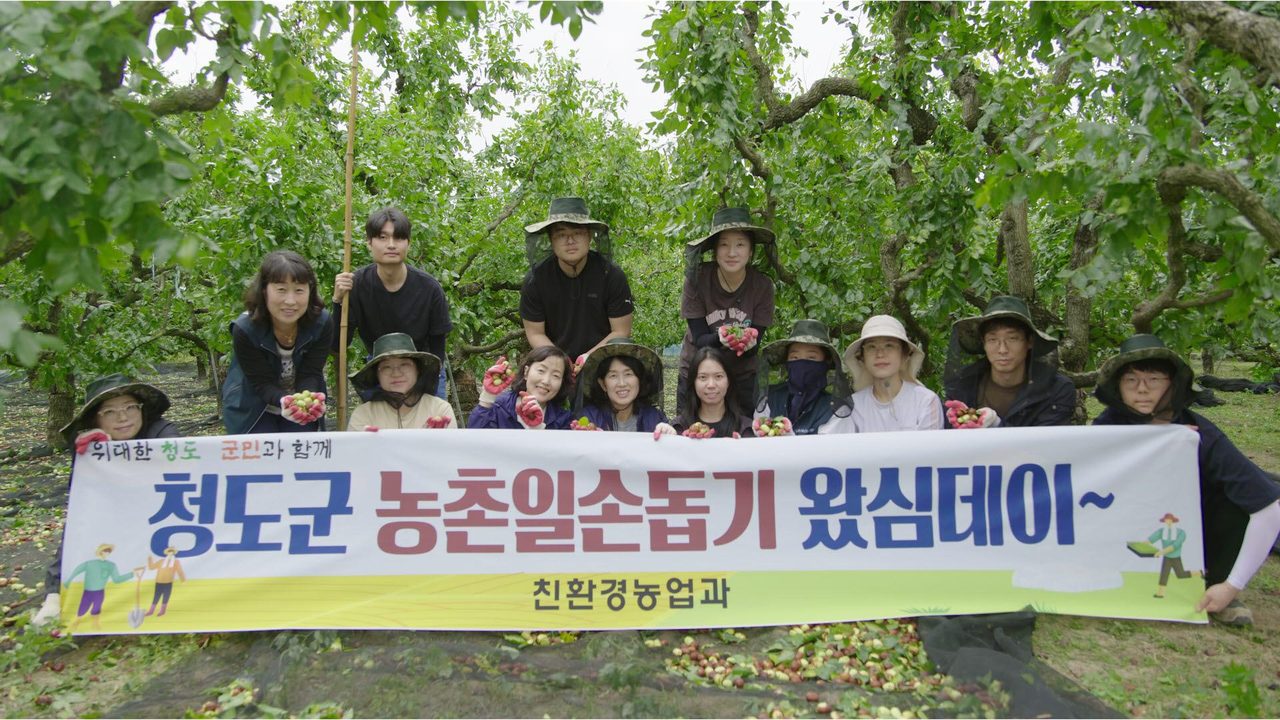 청도군, 하반기 농촌일손돕기 실시 - 현장 자원봉사와 재배기술 지도 병행하며 농가 지원 -