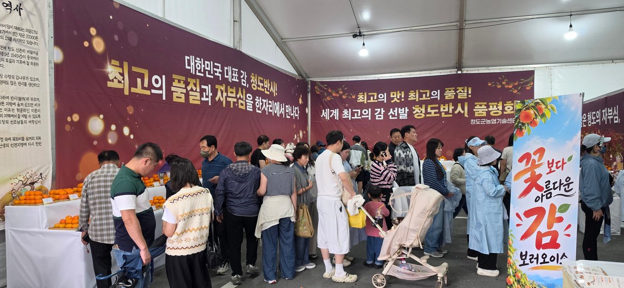 2026 청도반시 품평회 대상은 청도읍 채경숙 씨… 금상 예상희, 은상 허규석·김기태
